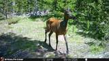 357 Ontario Drive - Photo 11