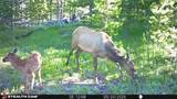 357 Ontario Drive - Photo 14
