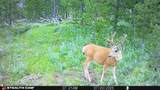 357 Ontario Drive - Photo 7