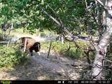 1 Boulder Drive - Photo 59