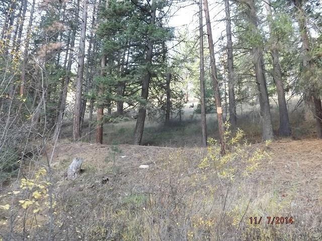 Nhn Canyon Creek Road - Photo 1