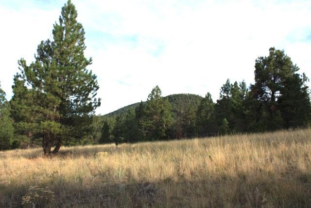 Lump Gulch-Little Katie Lode Road - Photo 1