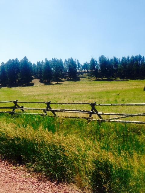 Munis Road - Photo 1