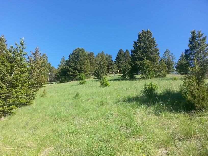 79 Saddle Mountain Drive - Photo 1