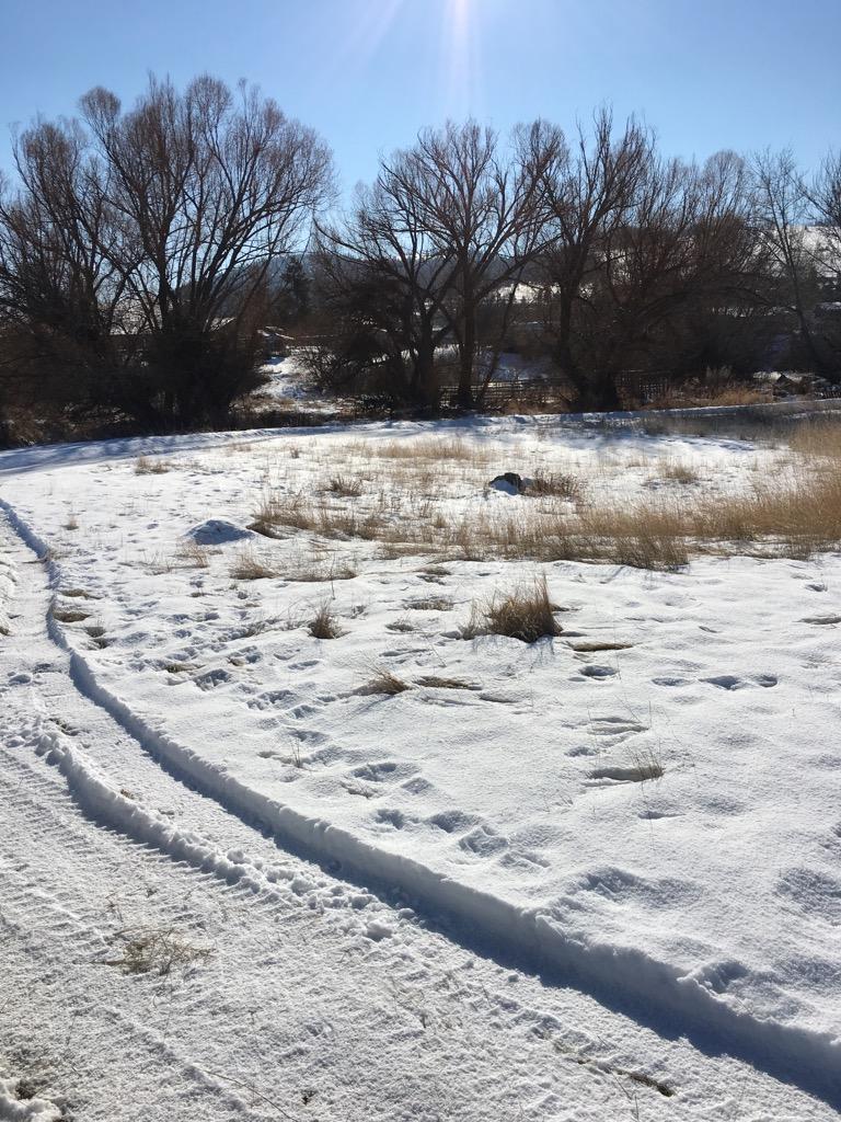 Nhn 1st Street - Photo 1