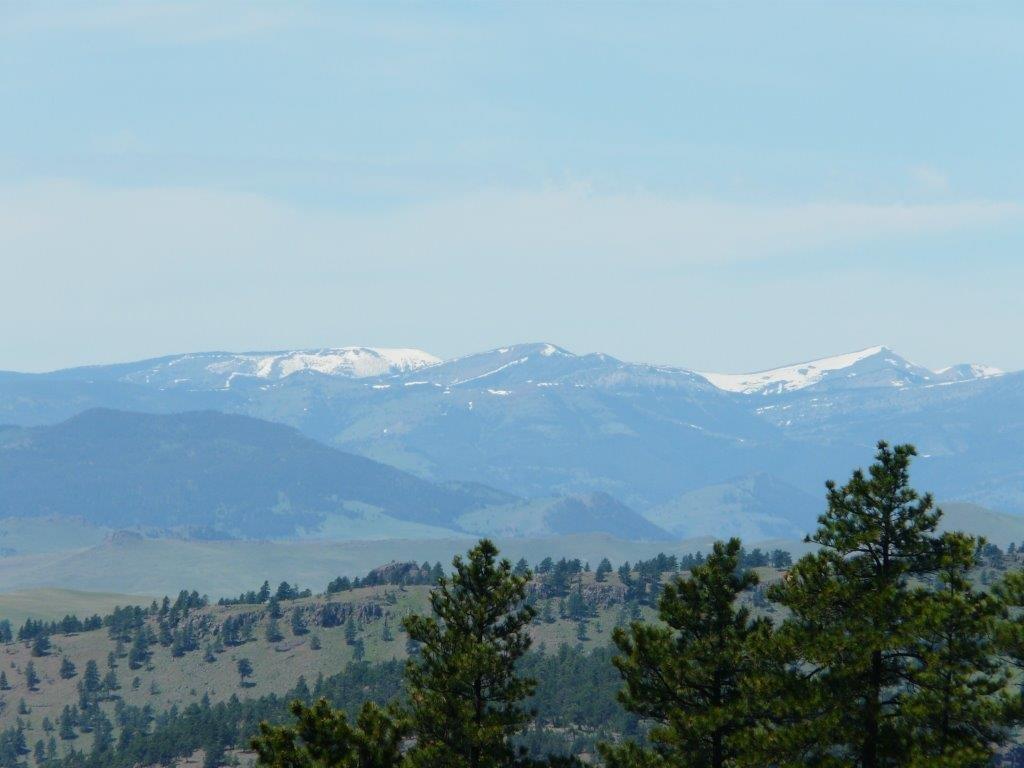 Nhn Sugarloaf Mountain Lane - Photo 1