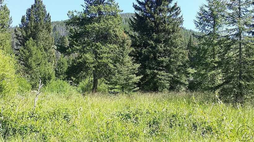 Tract 2 Belle Avenue - Photo 1