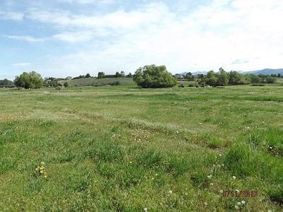 Nhn Grantsdale Road - Photo 1