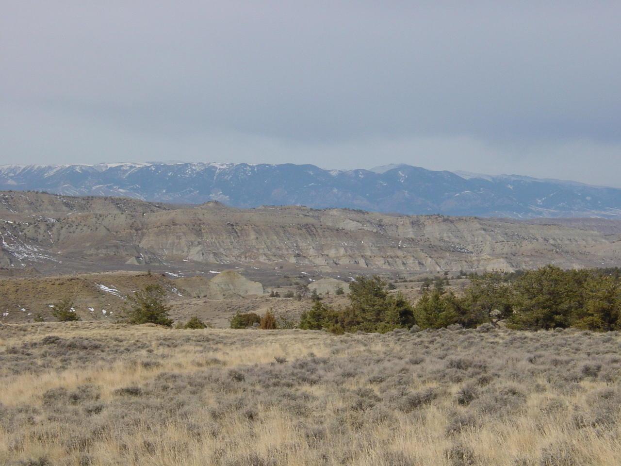 Cottonwood Road - Photo 1