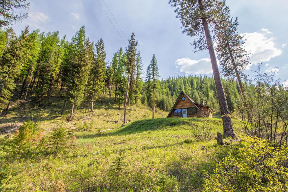 3897 Petty Creek Road - Photo 1