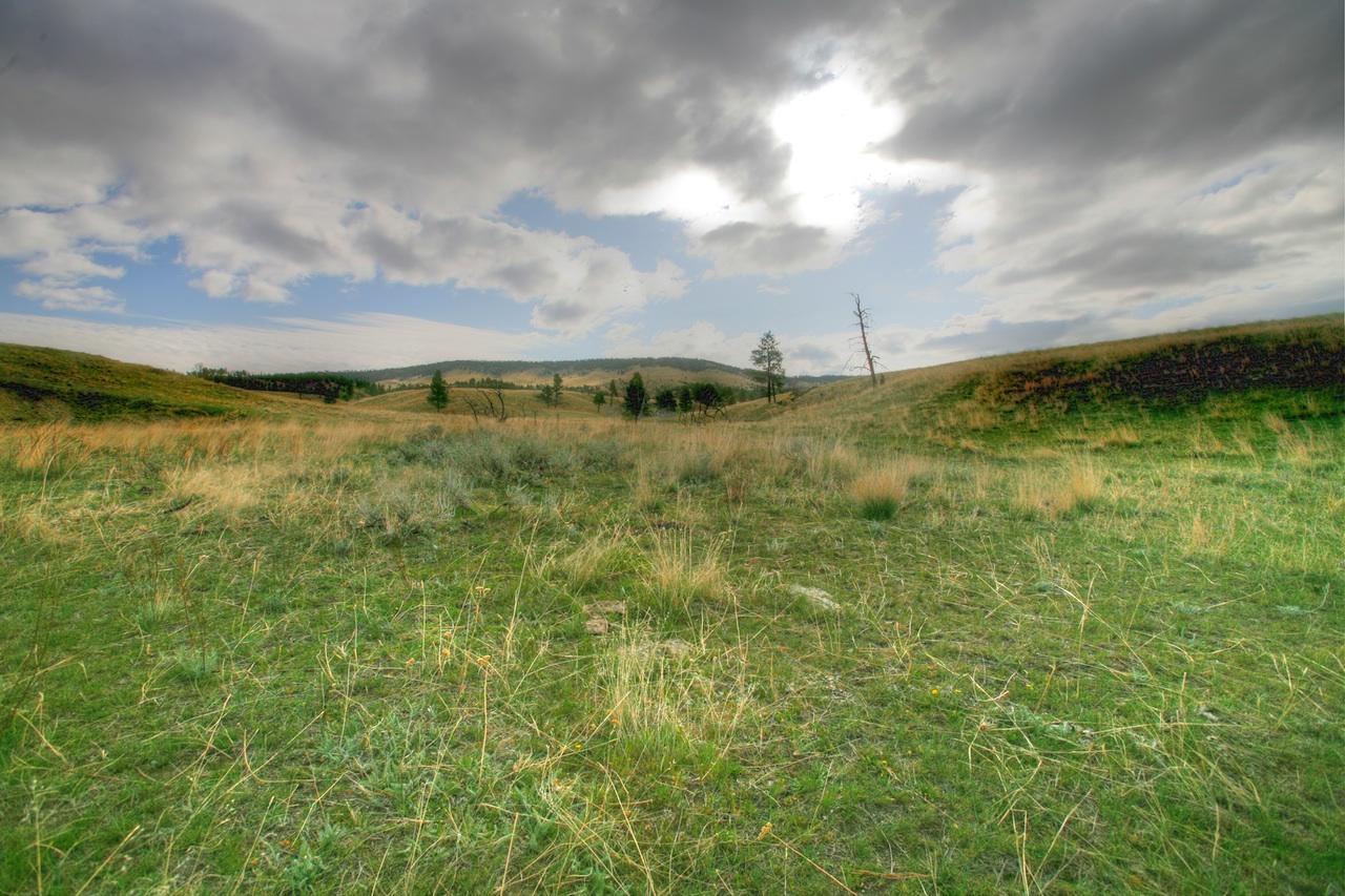 Tbd Johnson Road - Photo 1