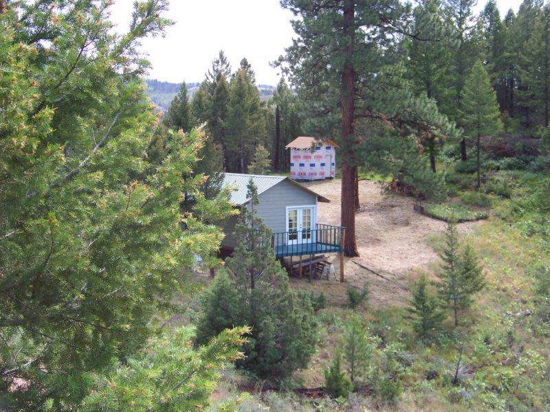 250 Felan Gulch - Photo 1