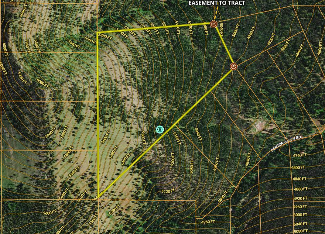 Nhn Little Wolf Creek Road - Photo 1