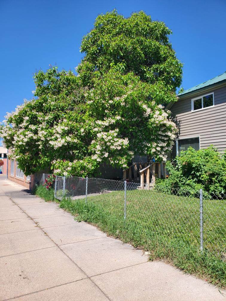 103 3rd Avenue - Photo 1