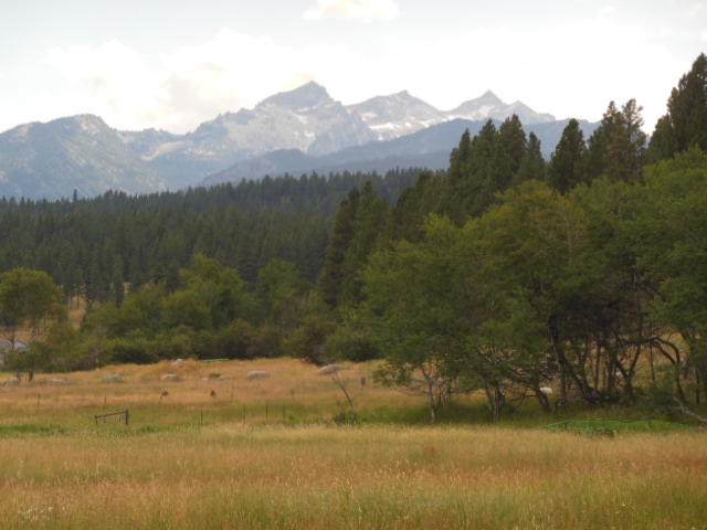 201 Gold Creek Loop - Photo 1