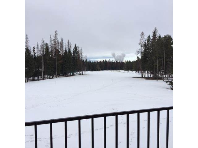 103 Spyglass Hill Loop - Photo 1