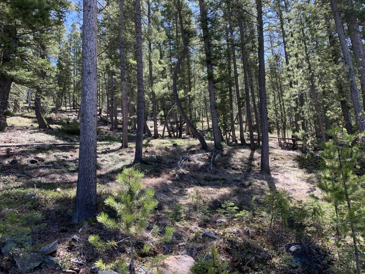 Tract 25-A Georgetown Lake Estates - Photo 1