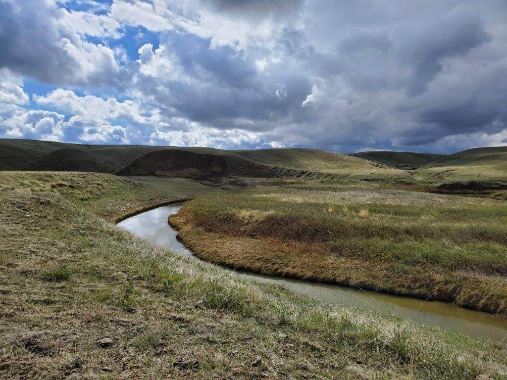 Nhn 5900 Road - Photo 1