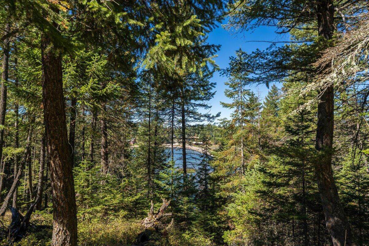 1370 Echo Lake Road - Photo 1