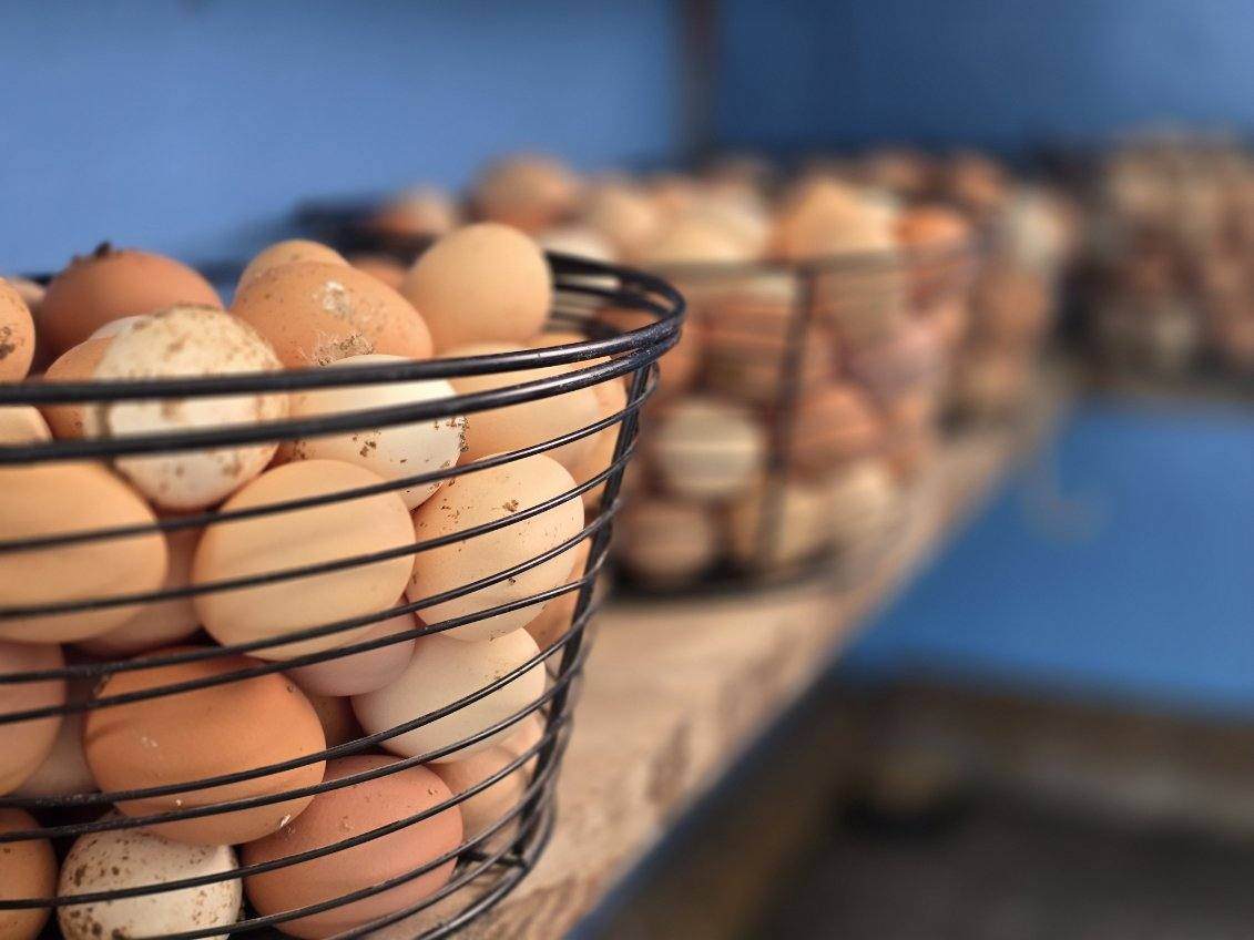 Nhn Chaffin Lane - Photo 1