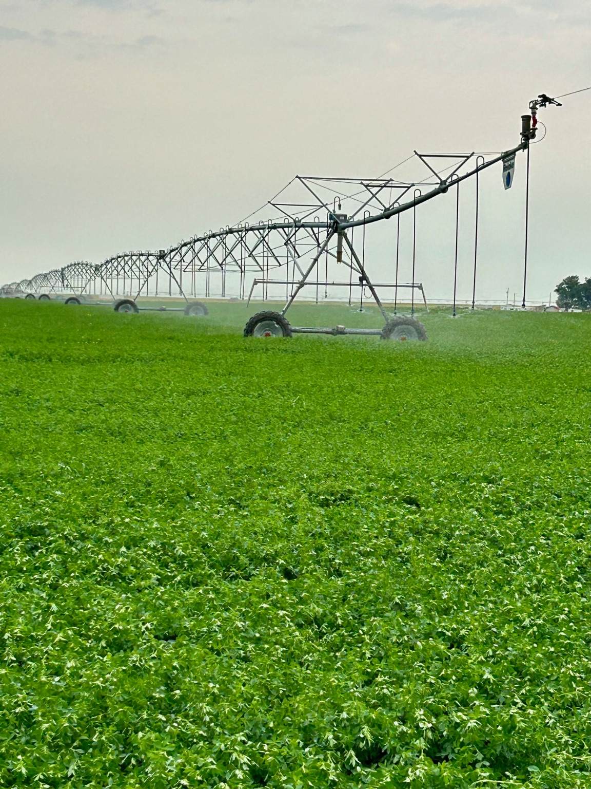 NHN 1st Road - Photo 1