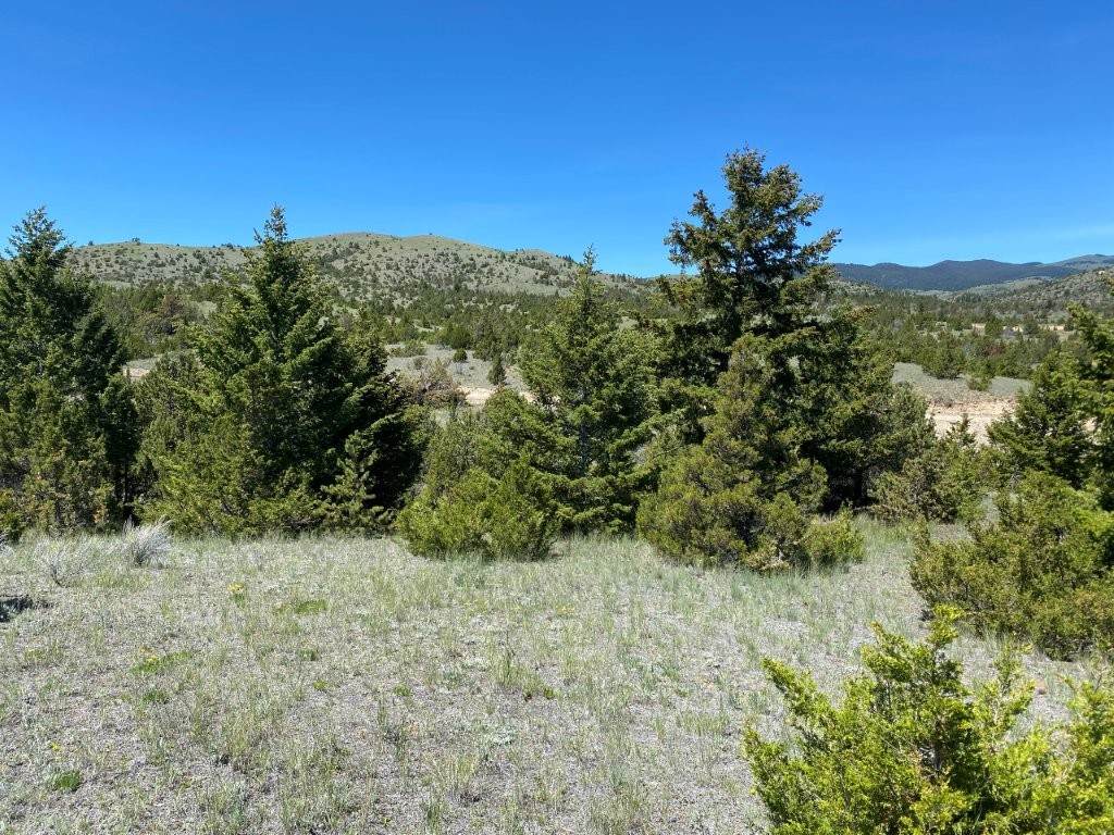 17 Keating Gulch Road - Photo 1
