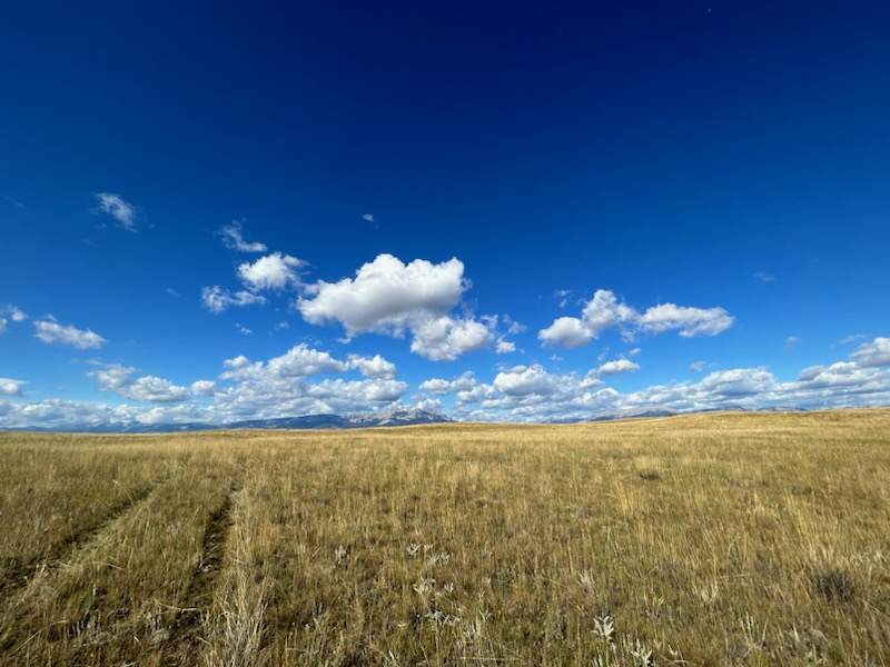 https://bt-photos.global.ssl.fastly.net/nmar/1280_boomver_1_30069792-2.jpg