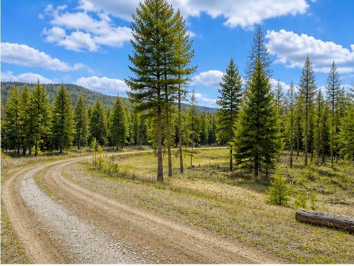 237 Haskill Ranch Road - Photo 1
