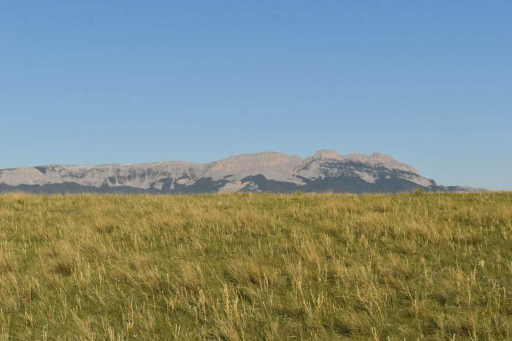 Lot 50 Meadowlark Lane - Photo 1