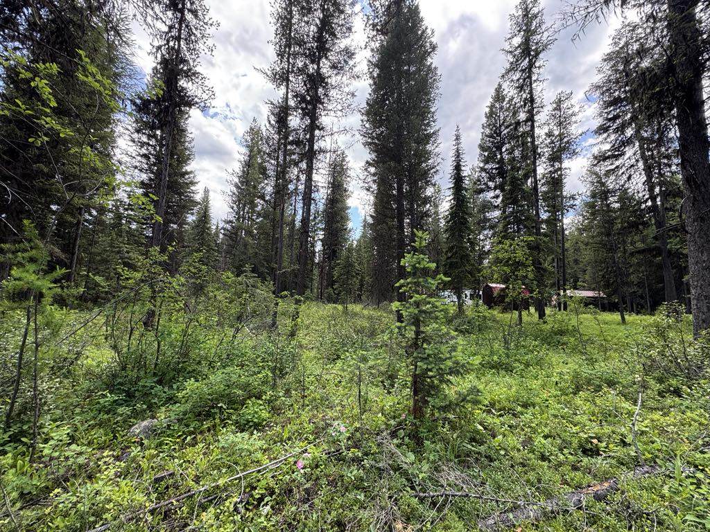 768 Deep Woods Trail - Photo 1