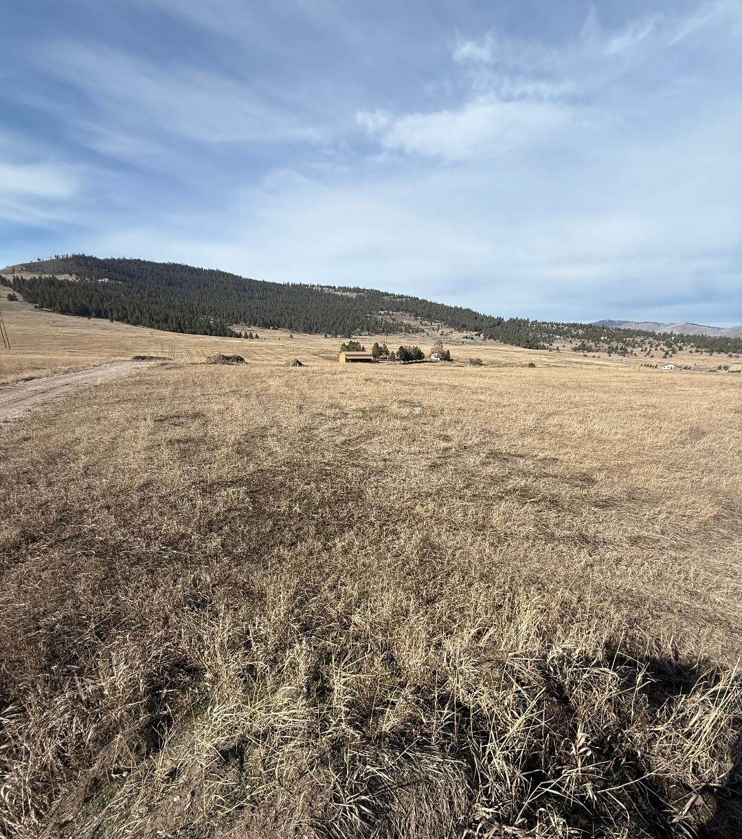 NHN Walking Horse Lane - Photo 1
