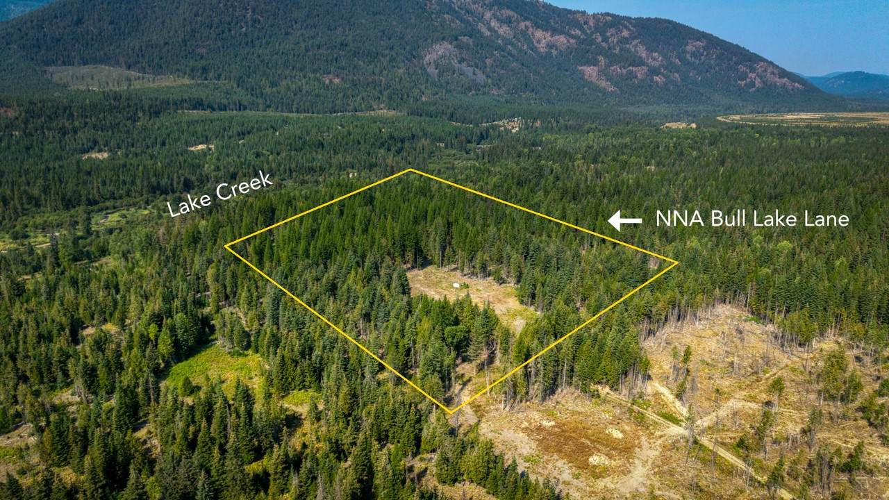 NNA Bull Lake Lane - Photo 1