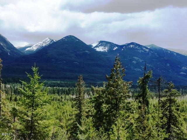Lot 1 Lower Stanley Cutoff - Photo 1