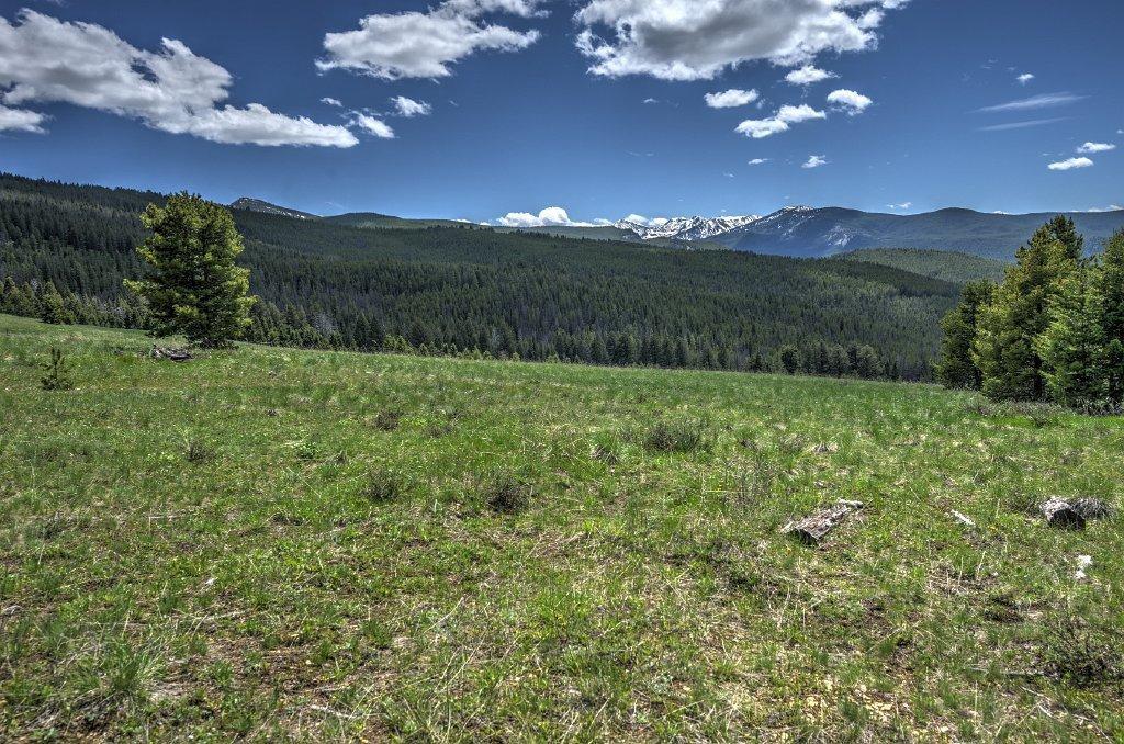 Nhn East Fork Road - Photo 1
