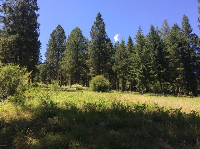 312 Humphrey Ranch Road - Photo 1