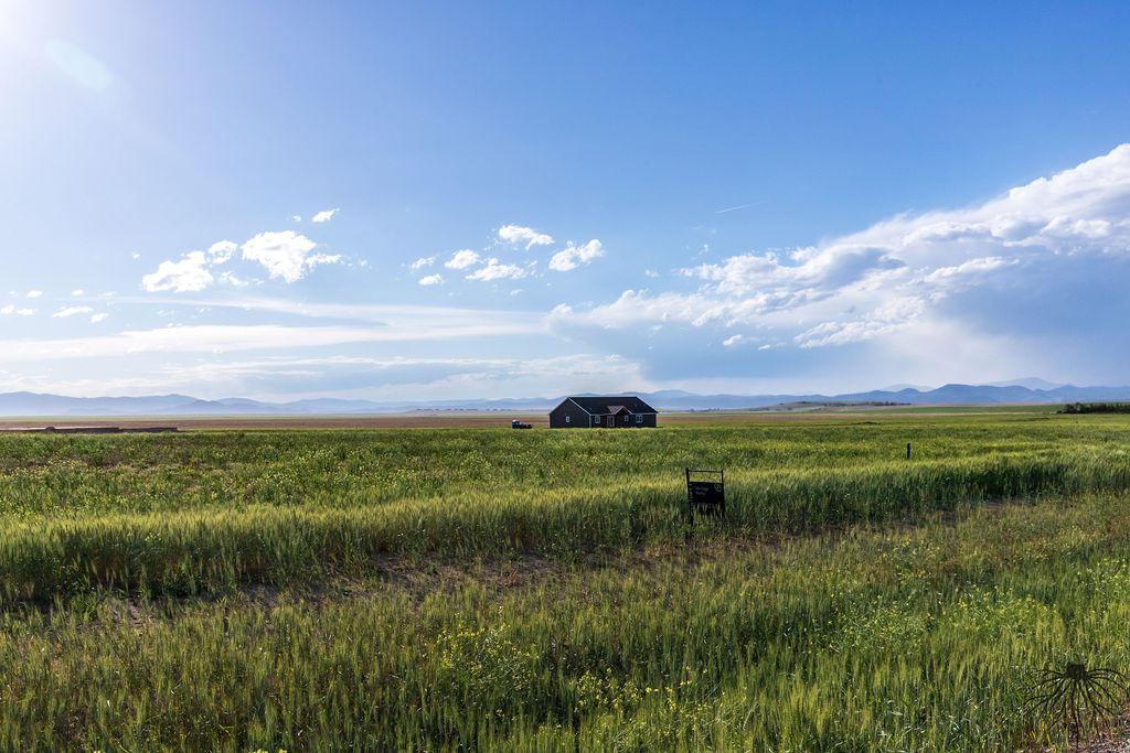 2259 Spring Wheat Loop - Photo 1