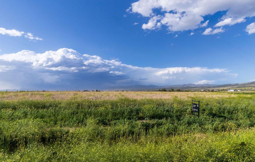 2197 Spring Wheat Loop - Photo 1