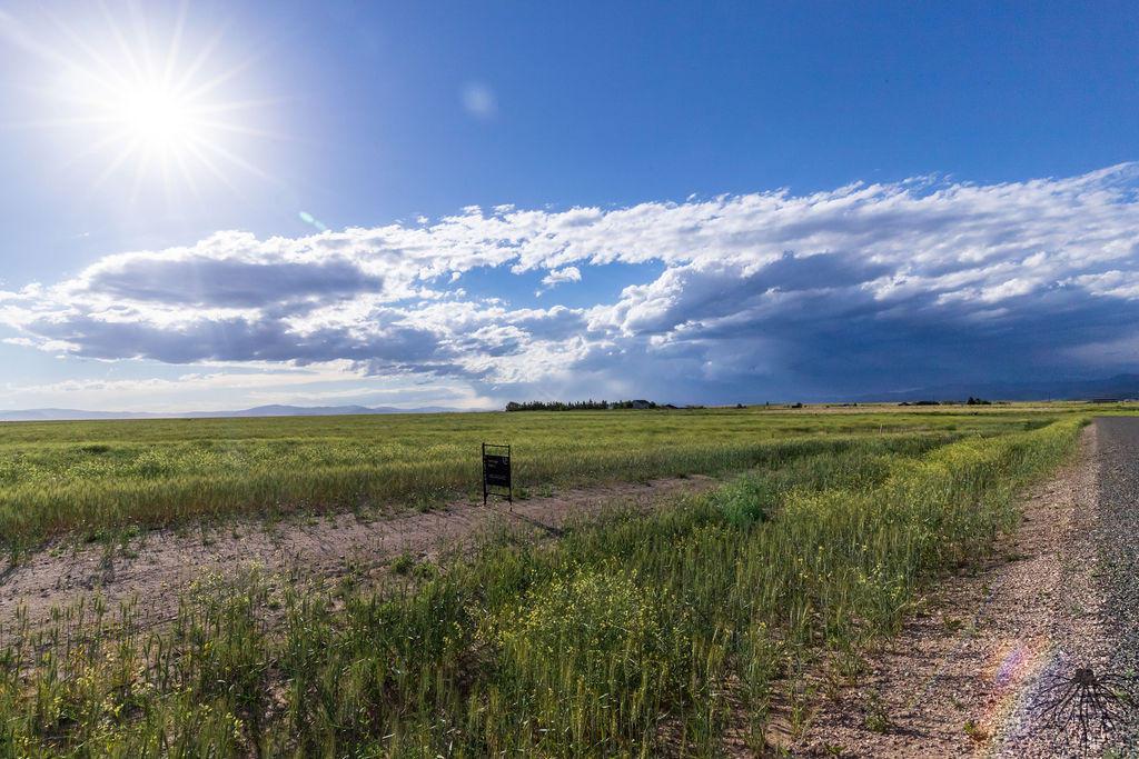2134 Spring Wheat Loop - Photo 1