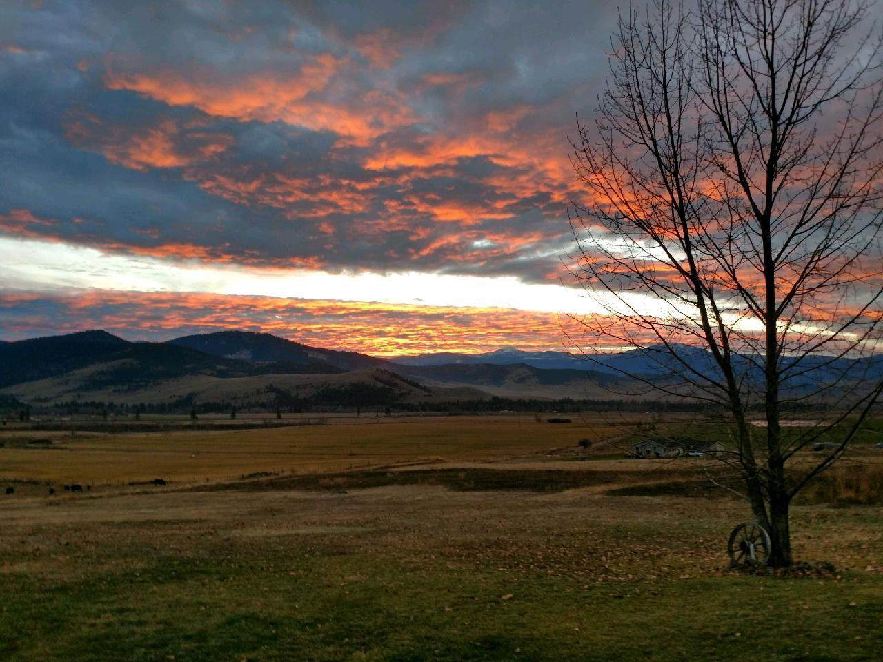 34790 Lucy Lane - Photo 1