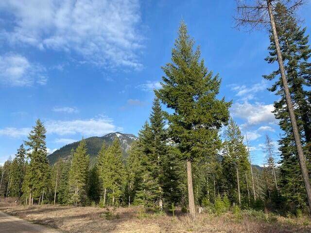 Lot 18 Rainbow Loop - Photo 1