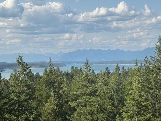 120 Lodge Road - Photo 1