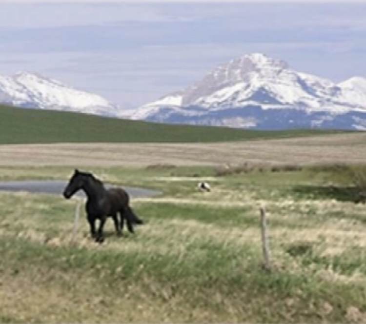 301 Middle Fork Road - Photo 1