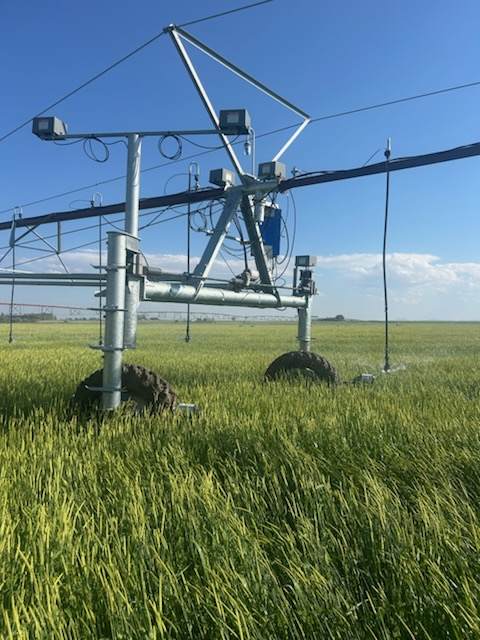 NHN 1st Road - Photo 1