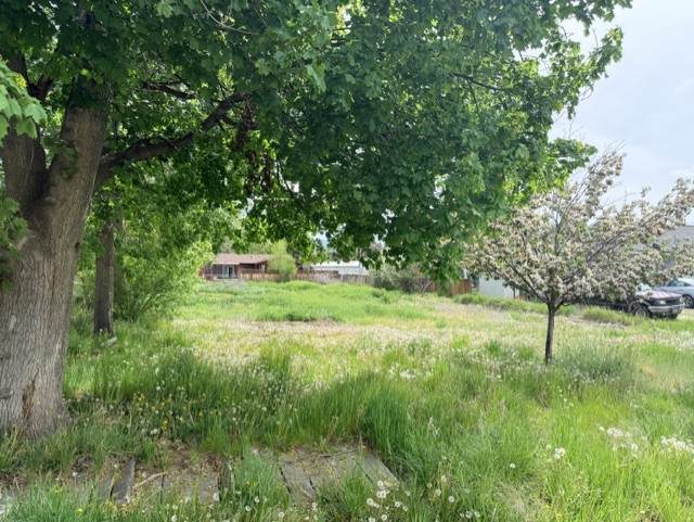 240 Daly Avenue - Photo 1