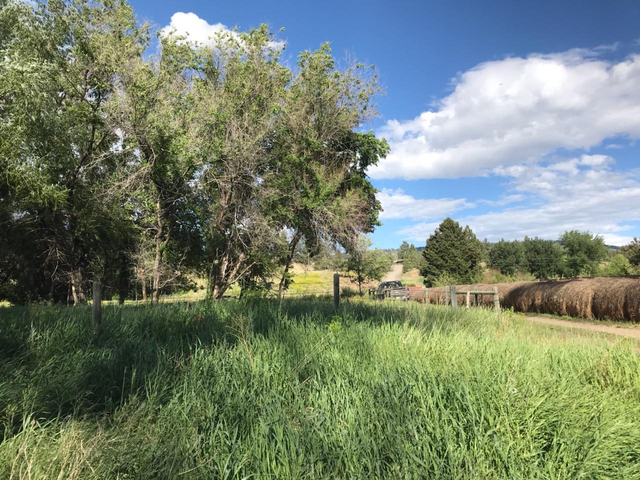2800 Spokane Creek Road - Photo 1