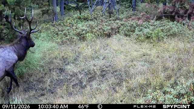 357 Ontario Drive - Photo 1