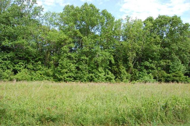 Lot 67 Lakeview Drive - Photo 1