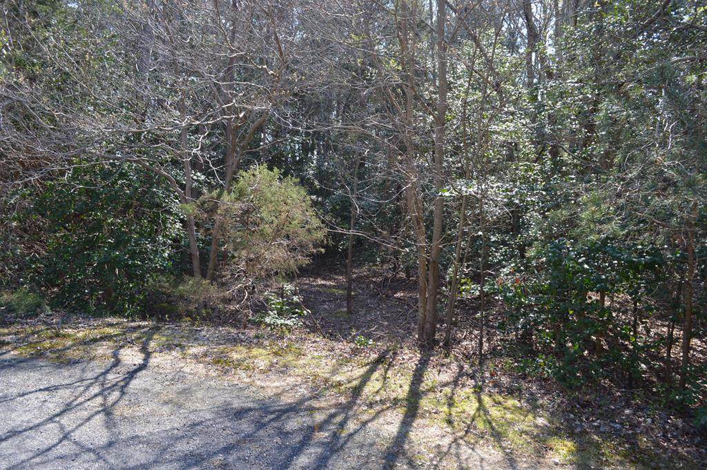 0 Lomar Court - Photo 1