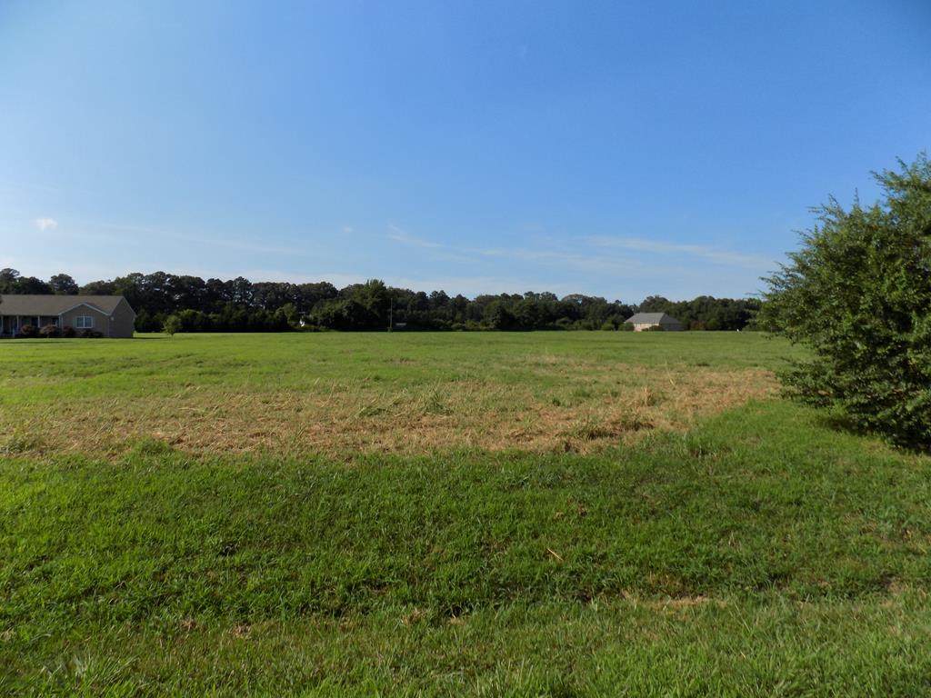 0 Little River Drive - Photo 1