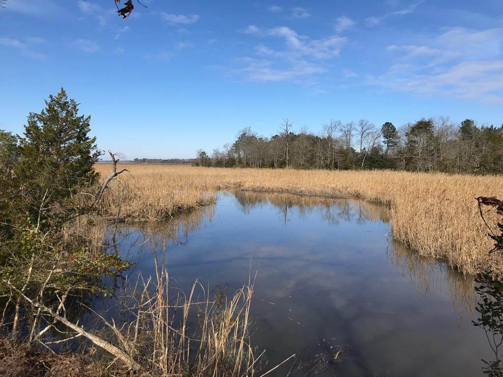 00 Goose Creek Rd - Photo 1